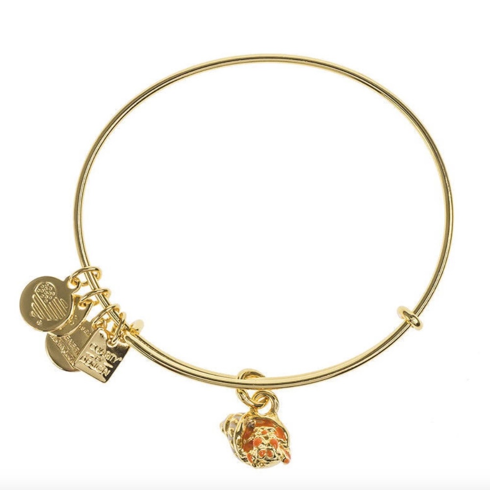 Alex And Ani Hermit Crab Charm Shiny Gold Finish Bangle